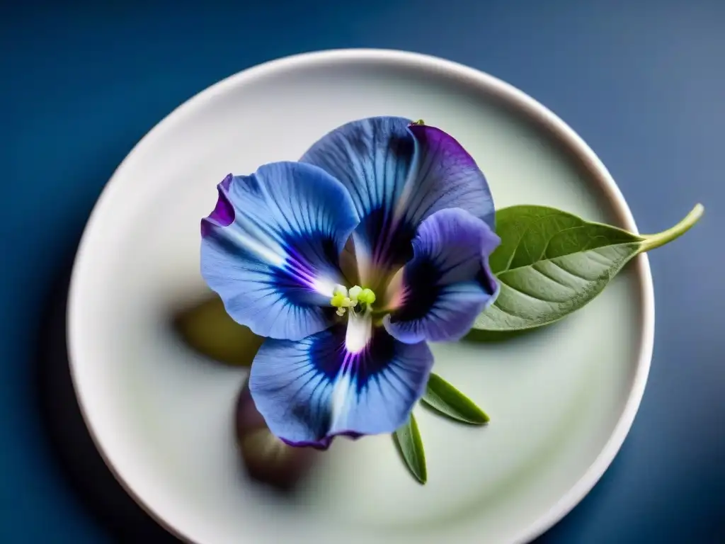 Un exquisito plato con una flor de mariposa azul vibrante, resaltando su elegancia en la presentación culinaria